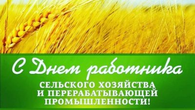С Днем работника сельского хозяйства и перерабатывающей промышленности!