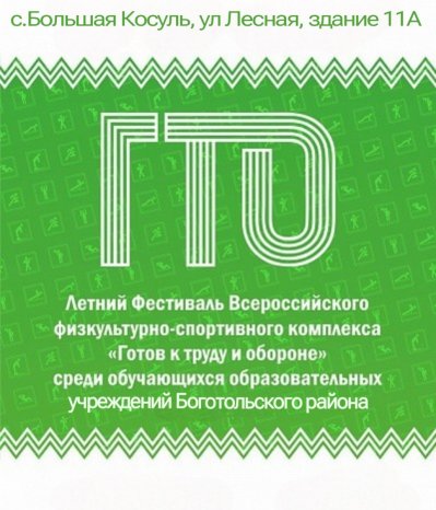 Фестиваль ВФСК ГТО среди обучающихся образовательных учреждений Боготольского района