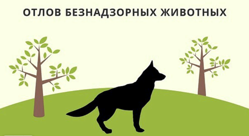 Информация по обращению с животными без владельцев на территории Боготольского района