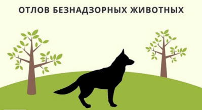 Информация по обращению с животными без владельцев на территории Боготольского района
