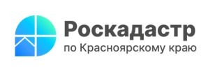 Детали согласования наследником границ земельного участка обозначили в краевом Роскадастре
