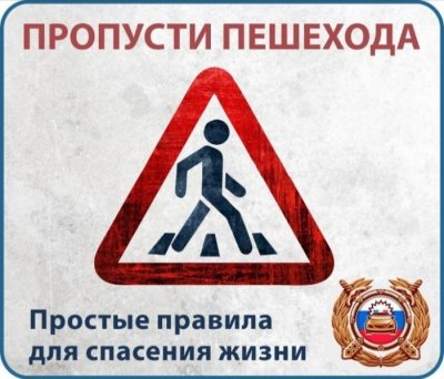 На дорогах страдают пешеходы!