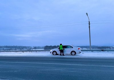 Трезвый водитель