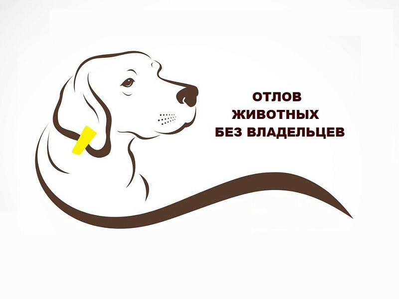 17 по 19 февраля будет проводиться отлов животных без владельцев в с.Александровка, с.Боготол, п.Лозняки, с.Медяково, п.Владимировка, п.Орга и п.Птицетоварная ферма.