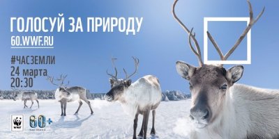24 марта в 20:30 погасите свет!  Поддержите международную акцию «Час Земли»!