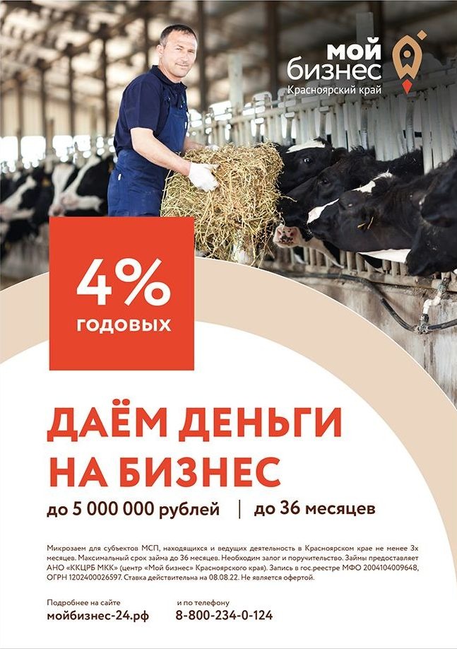 Деньги на бизнес